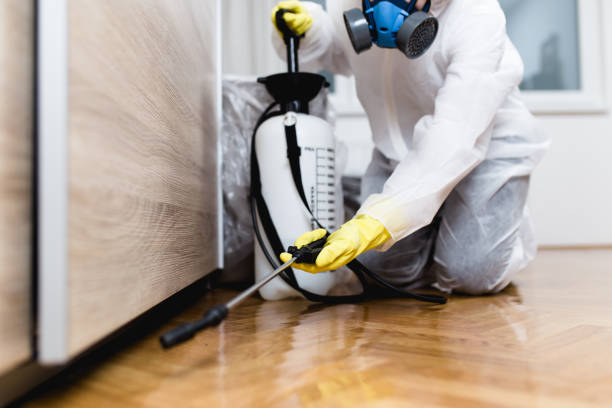 Best Cockroach Control Services  in Fruit Hill, OH