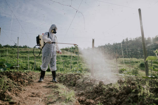 Best Affordable Pest Control Services  in Fruit Hill, OH