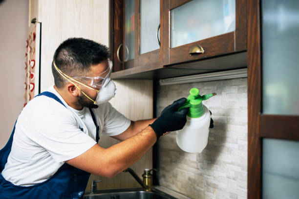 Best Residential Pest Control  in Fruit Hill, OH