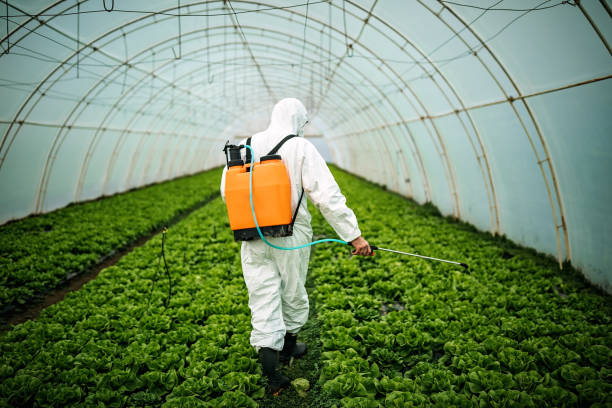 Best Pest Control Near Me  in Fruit Hill, OH