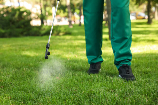Best Best Pest Control Companies  in Fruit Hill, OH