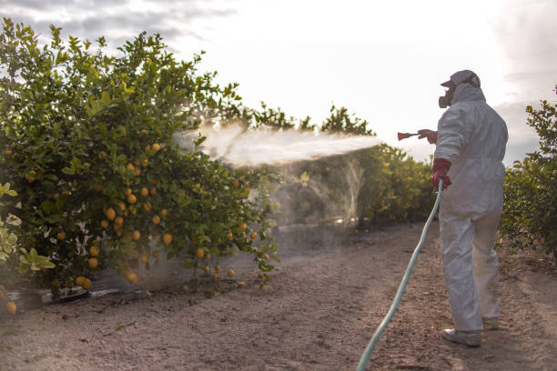 Best Flea Control Services  in Fruit Hill, OH