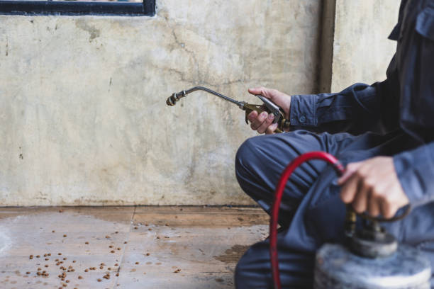 Best Affordable Pest Control Services  in Fruit Hill, OH
